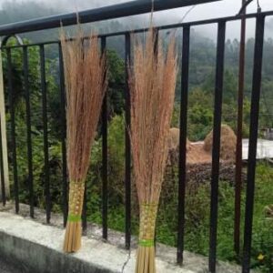 Natural Eco Friendly Barley Leaf Broom